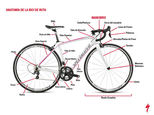 Estructura de la Bici, ¿Donde puedo poner mis stickers personalizados?