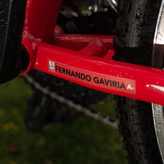 LAMINATED Vinyl Stickers. Pack 5 LARGE + 5 SMALL.