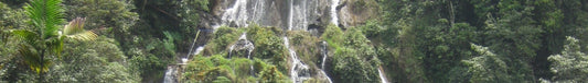 Bicimanías